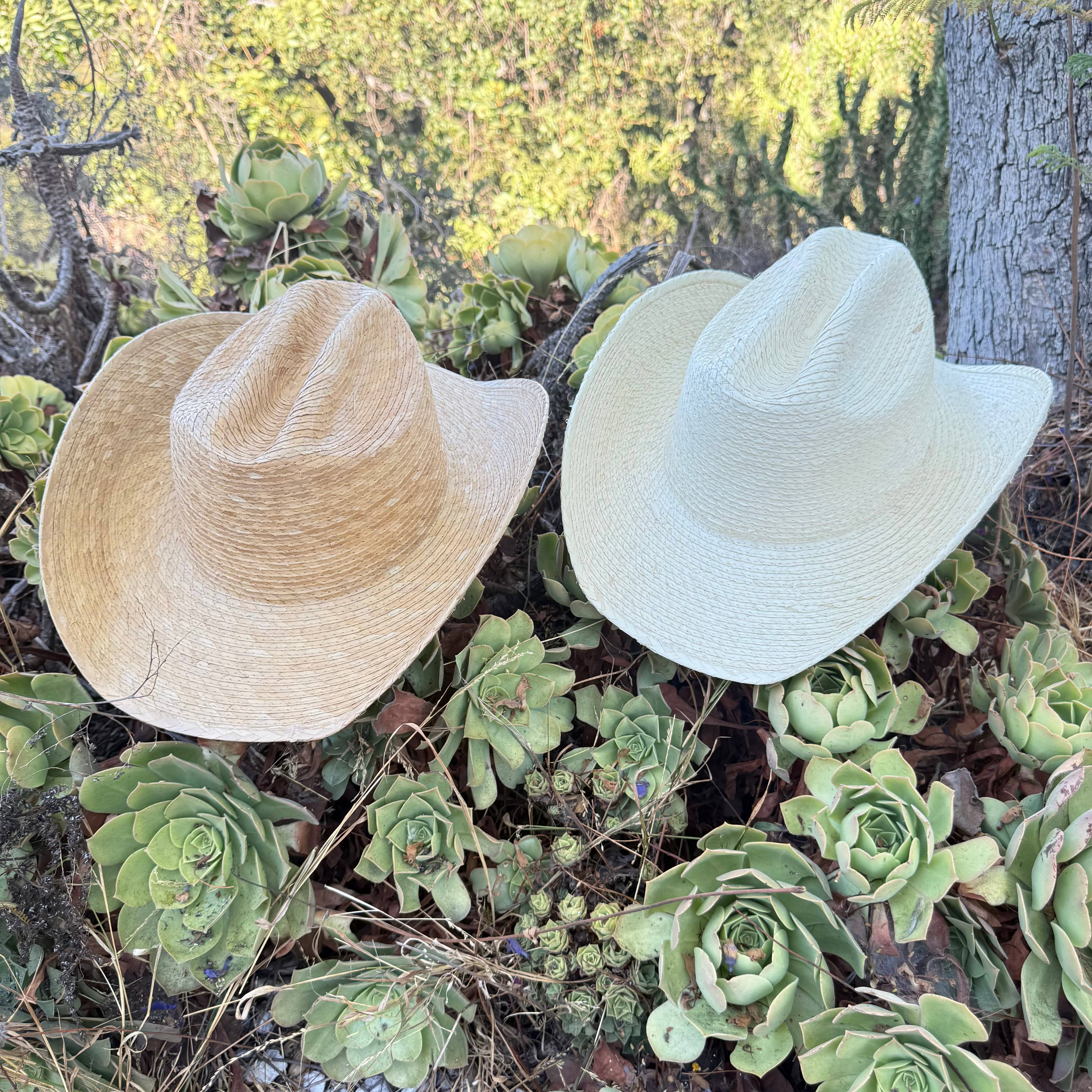 Natural Palm Leaf Cowboy Hat with Braided Band